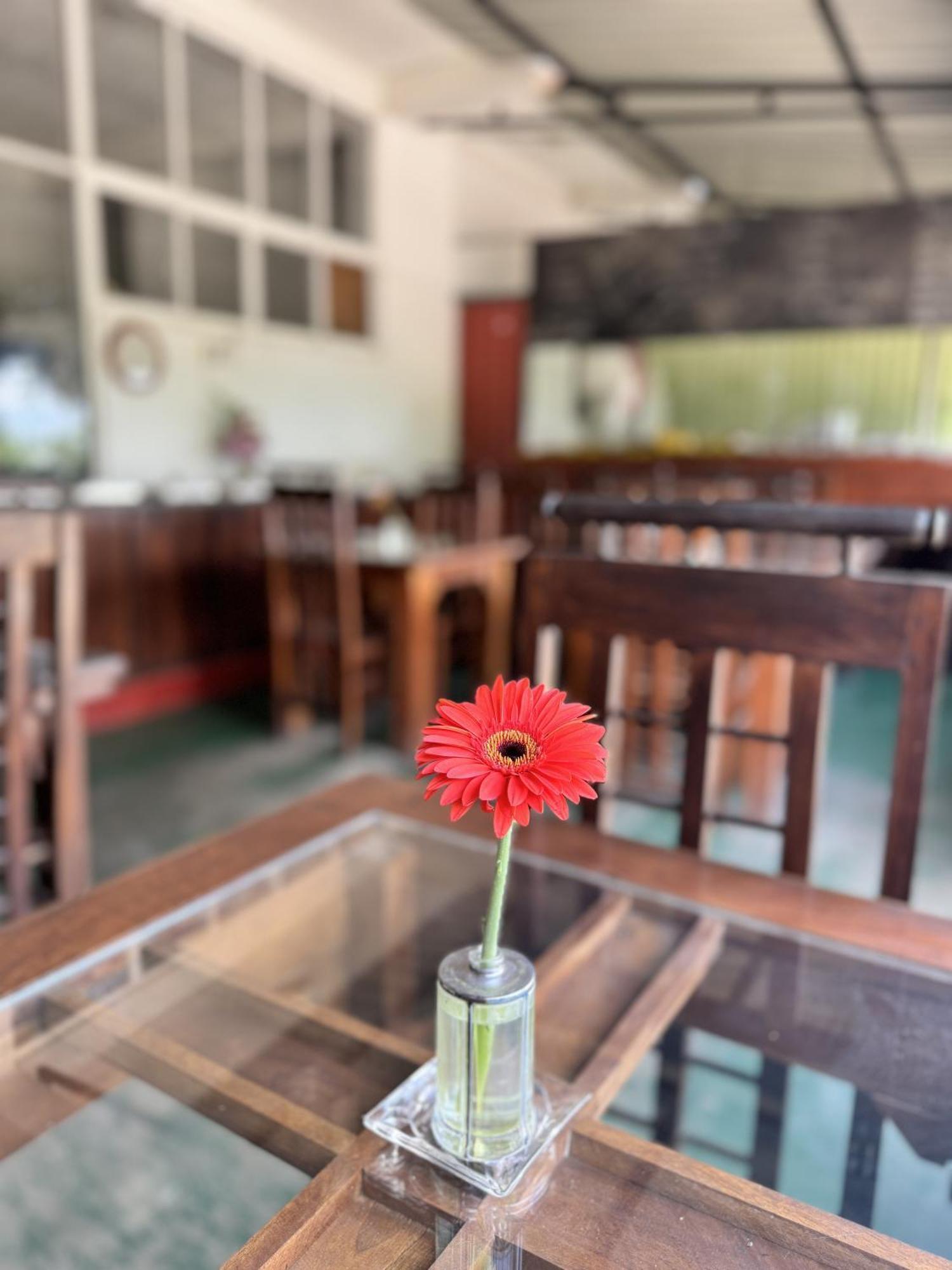 Ella Nature Life Guest & Restaurant -Free Pickup From Ella Exterior foto